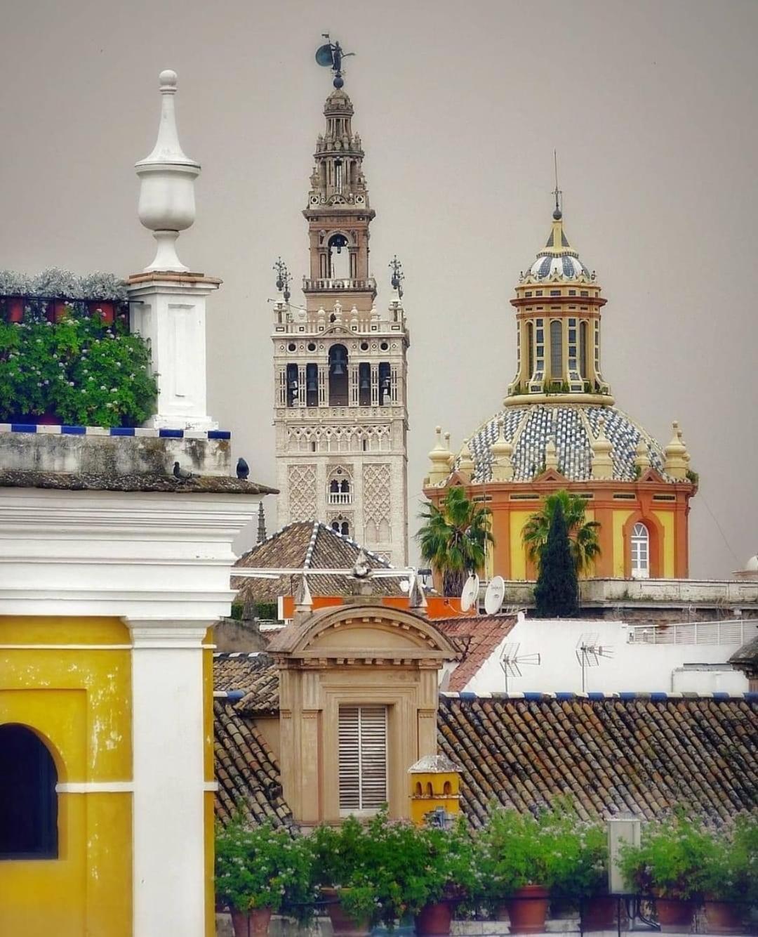 Apartamento La Azotea Del Sol Sevilla Exterior foto